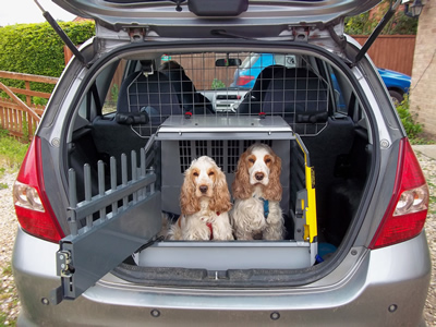 Safely Transporting Your Canine Pet